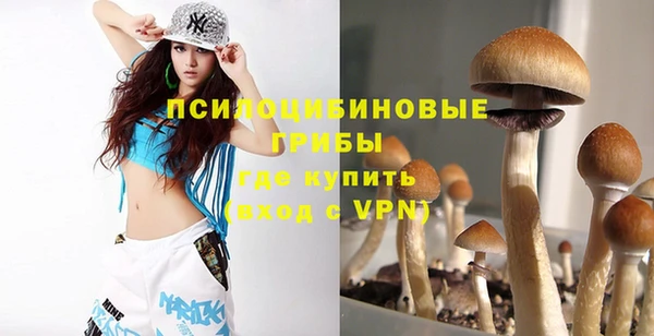 шишки Волоколамск