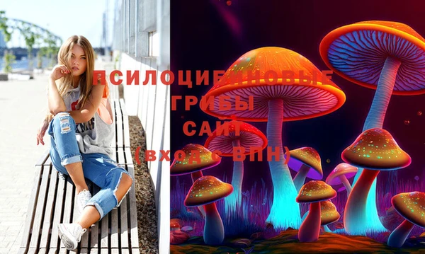 прущие крисы Володарск