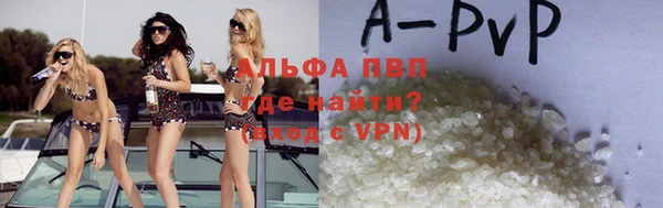 эйфоретик Тайга