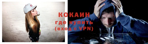 шишки Волоколамск