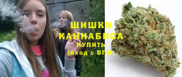 шишки Волоколамск