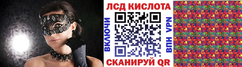 дарнет шоп  Камешково  Наркотические марки 1,5мг 