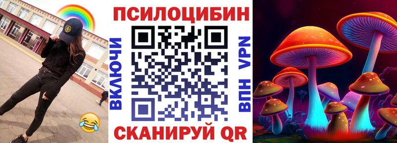 где можно купить наркотик  Камешково  Галлюциногенные грибы GOLDEN TEACHER 